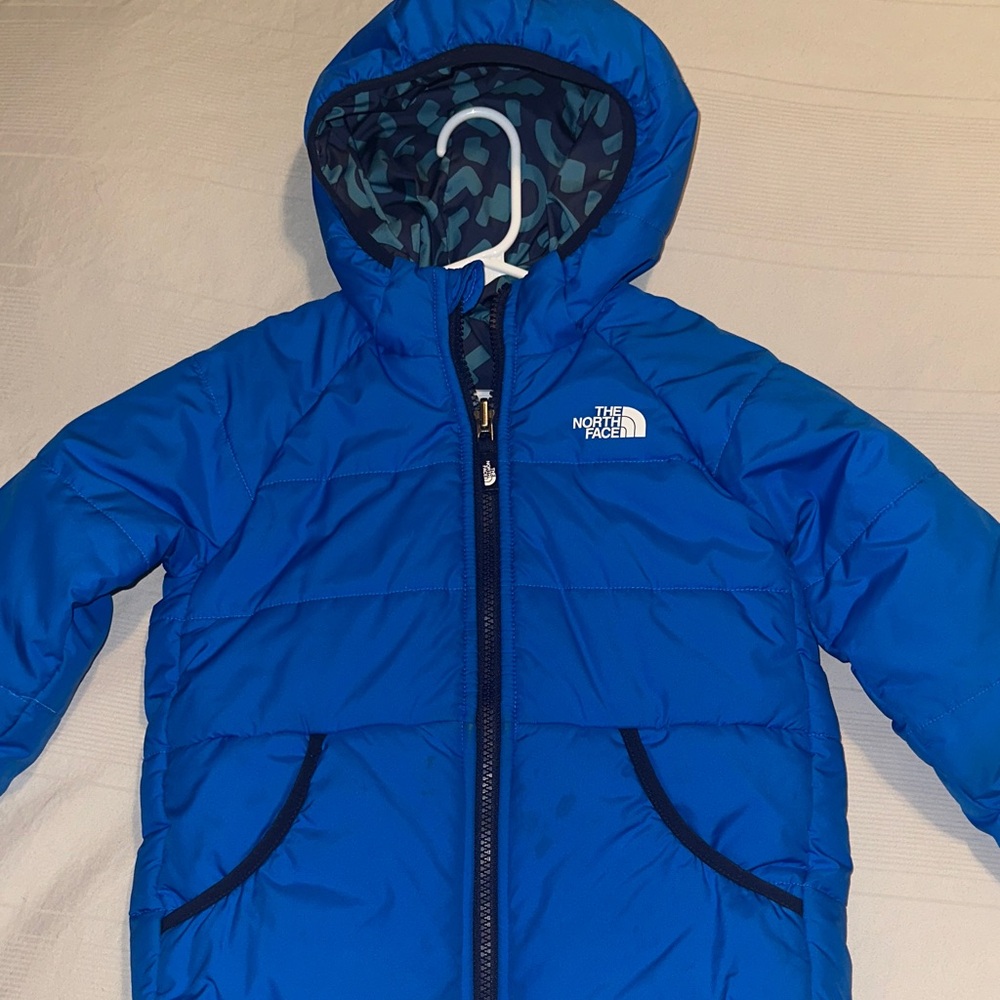 The North Face Vibrant Blue Puffer Jacket
